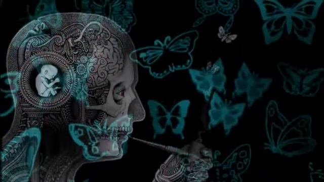 Dr.Pochka TURBIDITY смотреть онлайн