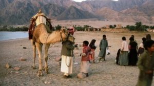 Кто такие Бедуины ? Где живут Бедуины ? Интересные факты о Бедуинах .