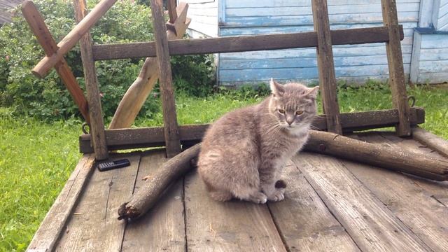 Художественный свист смотреть онлайн