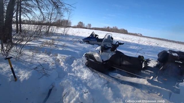 На снегоходах по дикой Сибири.Ямаха профешнл 2 смотреть онлайн
