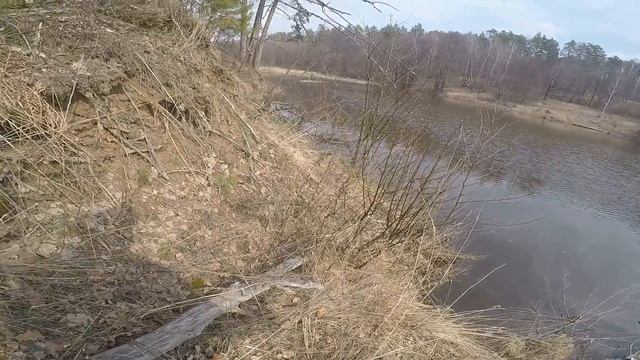 Тест Ривольты по низам. Нерест щуки, клещи. смотреть онлайн