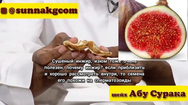 Лечение бесплодии. шейх Абу Сурака смотреть онлайн