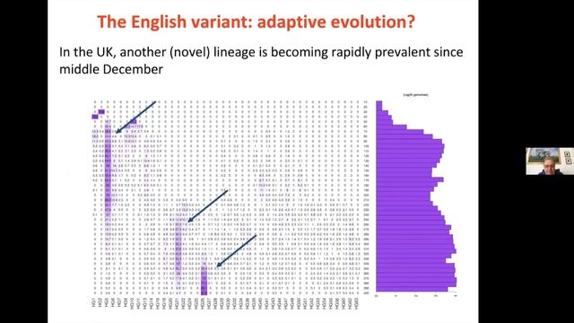 Graziano Pesole - Comparative And Evolutionary Genomics Of SARS-COV-2