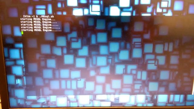 MSSQL ON linux смотреть онлайн