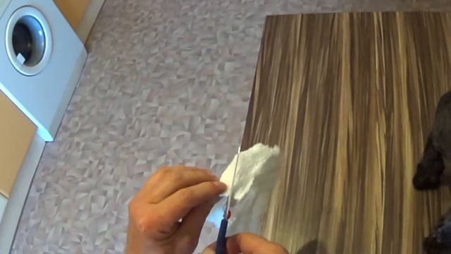 ПАМПЕРС для собаки смотреть онлайн