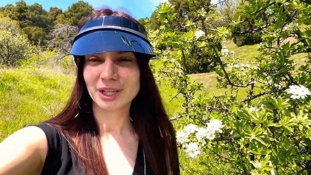 Дом в лесу 10 мин от моря ! дом по цене квартиры живописный вид / Крым Ялта Кацивели смотреть онлайн