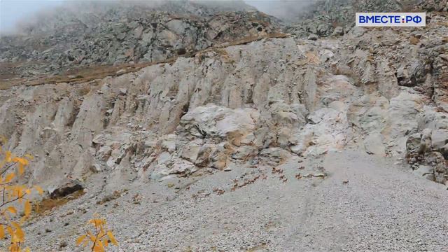 Очень красивый сюжет о Кабардино-Балкарском высокогорном заповеднике смотреть онлайн