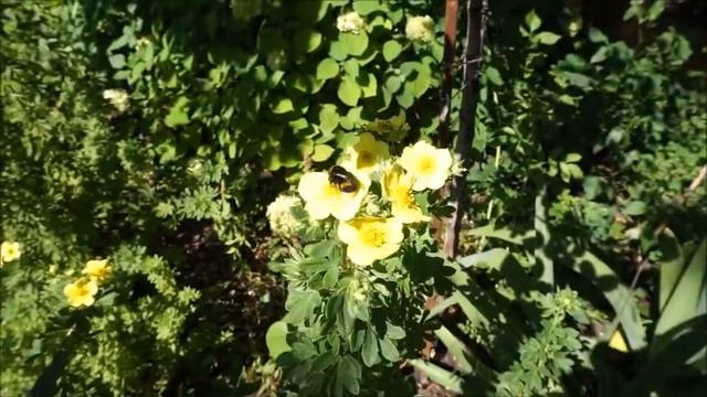 наливая чашку кофе она вспомнит о тебе MIKE THE MECHANICS смотреть онлайн