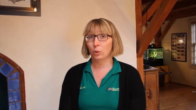 Save Turtles Today | The Turtle Rescue League смотреть онлайн