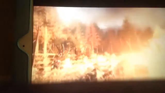 Angry birds go ep3 смотреть онлайн