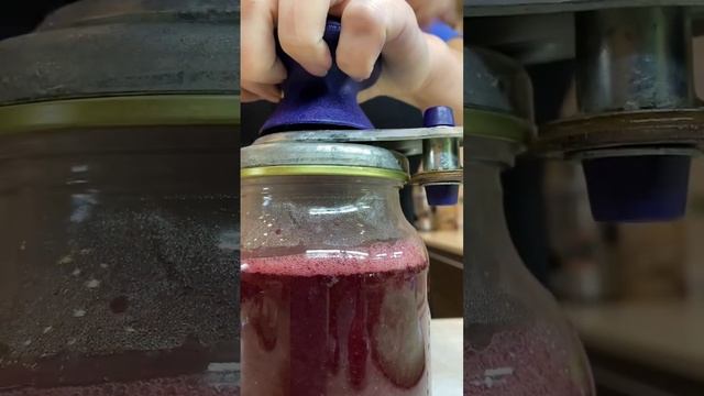 Виноградный сок на зиму | Изабелла смотреть онлайн