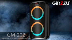 Обзор на музыкальную Midi систему от GINZZU. Model: GM-202.
