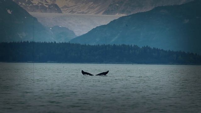 About last summer... смотреть онлайн