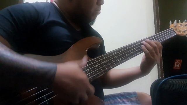 Godin Freeway 5 Passive смотреть онлайн