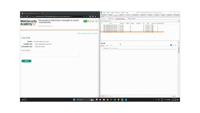 Lab: Manipulating WebSocket messages to exploit vulnerabilities смотреть онлайн