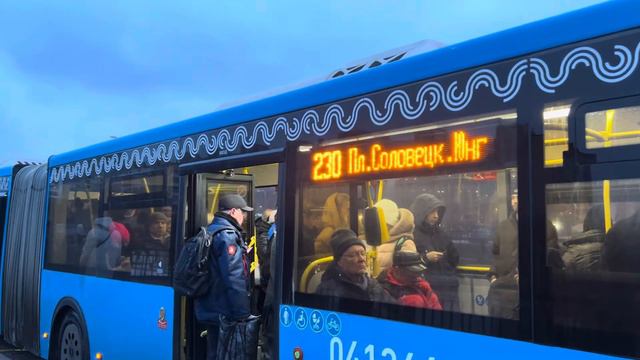 Автобус ЛиАЗ-6213.65 следует по маршруту 230 ”м. Преображенская пл. - Площадь Соловецких Юнг” смотреть онлайн