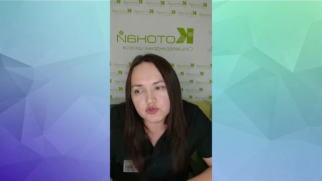 Что такое Пододерматит у собак смотреть онлайн