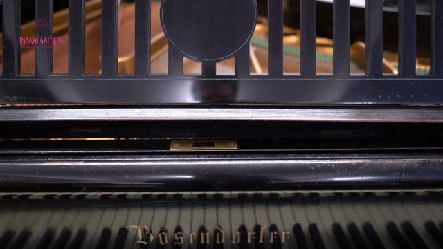 Bosendorfer 170 - Demo смотреть онлайн