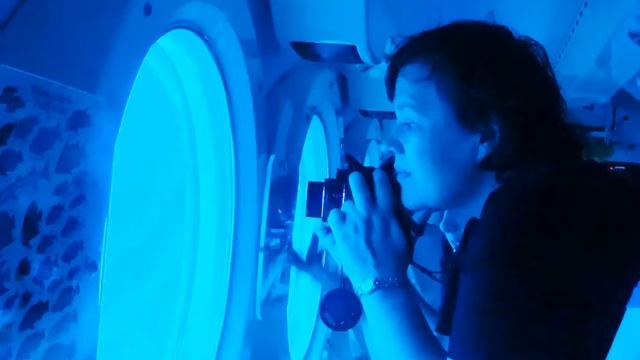 Бриджтаун (Барбадос) 9.01.2011 RCCL Explorer of the Seas смотреть онлайн