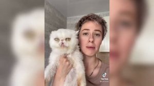 КОТ ЛЕША САМЫЙ МИЛЫЙ И СМЕШНОЙ КОТ ТИК ТОКА