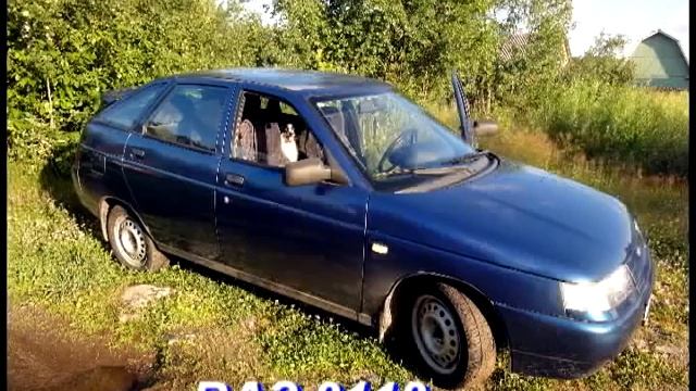 Мечты сбываются.avi смотреть онлайн