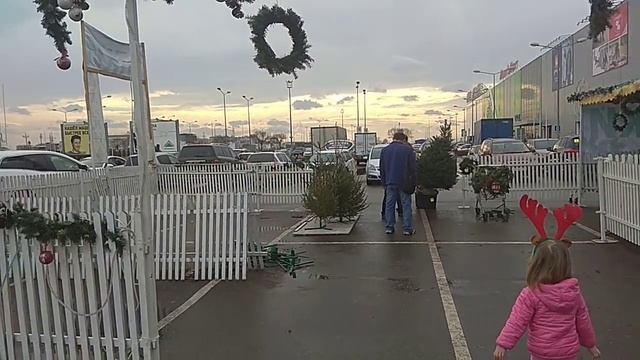 31 декабря. Погода в Краснодаре на Новый год. Переезд в Краснодар. смотреть онлайн