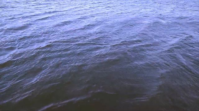 Endless Summer sounds of the sea КОГДА НАДОЕЛА ЗИМА Звуки морского прибоя для отдыха RELAX MUSIC смотреть онлайн