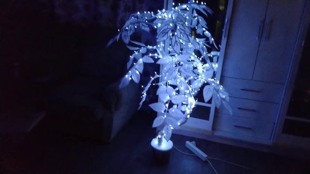 Как в итоге выглядит карликовое , новогоднее дерево с гирляндой! #декор #новости #поделкавсадик смотреть онлайн