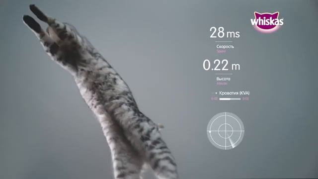 Реклама WHISKAS " Отправляйтесь в путешествие мечты " смотреть онлайн