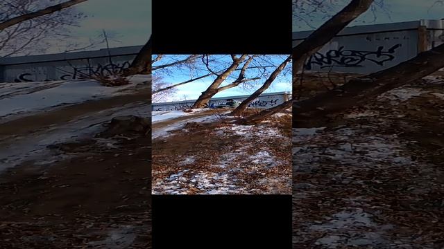 VID_20231105_143803.mp4 смотреть онлайн