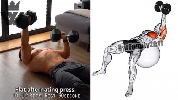 10 Dumbbell Exercises You Should Be Doing