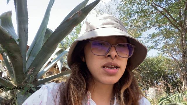 Agave Mixtape Vol. 9: Espadín con Quiote, Daniela Ángeles смотреть онлайн