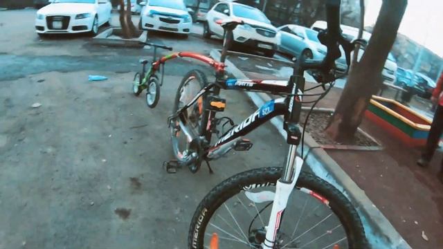 Покатушки на трейл-гаторе (trail-gator)