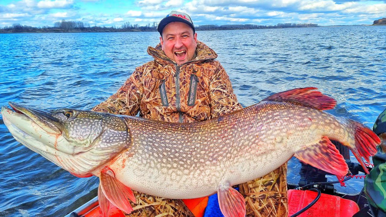 ГИГАНТСКИЙ ЩУКА-ЛЮДОЕД ПОЙМАН! МЕЧТЫ СБЫВАЮТСЯ! БОЛЬШИЕ приманки и трофейная рыбалка! Часть 2 смотреть онлайн
