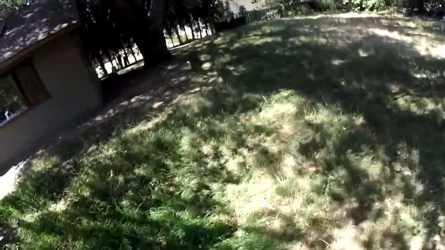 Alison Tyler The Wonder Women