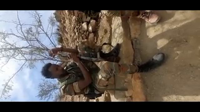bigameky aleky tigray artist zelealem Afewerki смотреть онлайн
