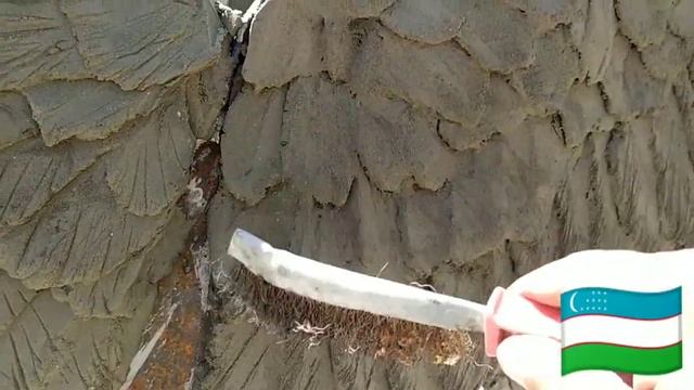 Крылья из арт бетона своими руками. смотреть онлайн