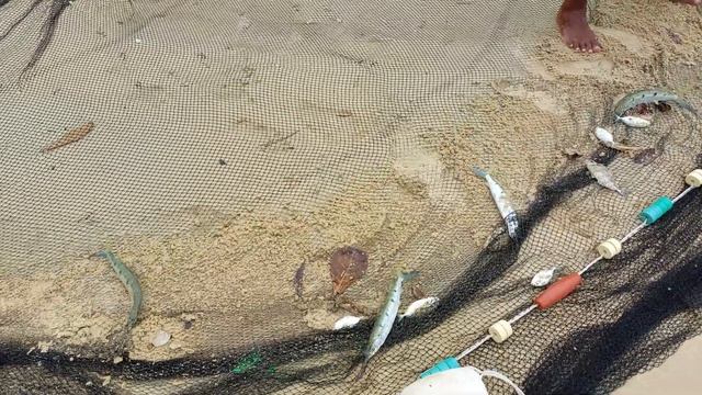 Рыбалка где-то в Андаманском море. Пхукет 2022 год. смотреть онлайн