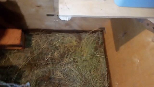 Домик для кроликов ВЕЛИКАНОВ. Универсальная клетка для кролика с удобной системой уборки. смотреть онлайн