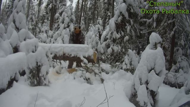 Пробиваем путик на Мотособаке (1 часть) 04 12 23 смотреть онлайн