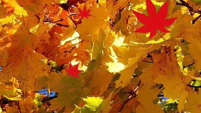 Игорь Фельдман песня "Листопад" смотреть онлайн