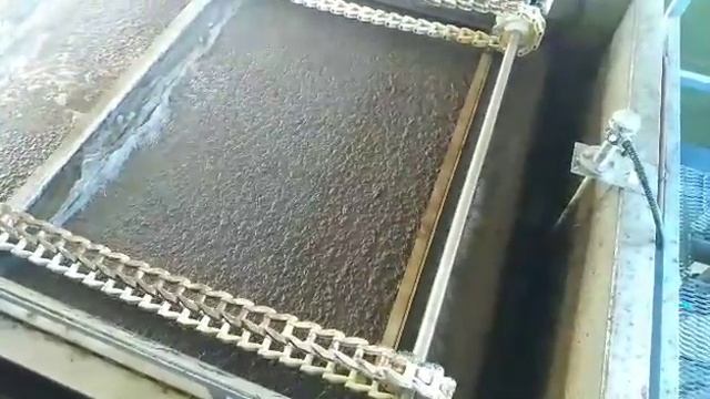 работа флотатора ПВО-УФ производства НПЦ ПромВодОчистка удаление активного ила после аэротенка смотреть онлайн