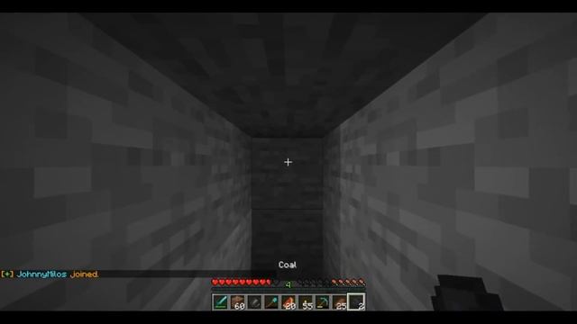 MINECRAFT Xray Glitch 1.15.2 JAVA | 2020 | Malayalam | RANDOMIZED смотреть онлайн
