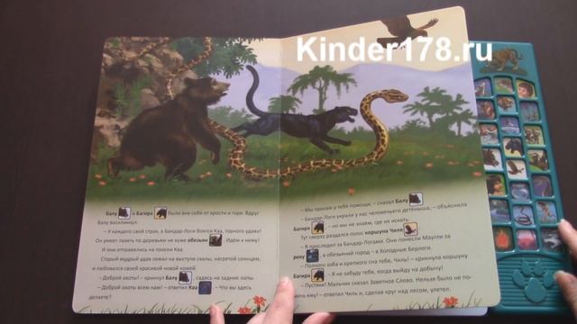 Детская музыкальная книга "Маугли" Говорящие сказки о зверятах. Азбукварик. Видео-обзор смотреть онлайн