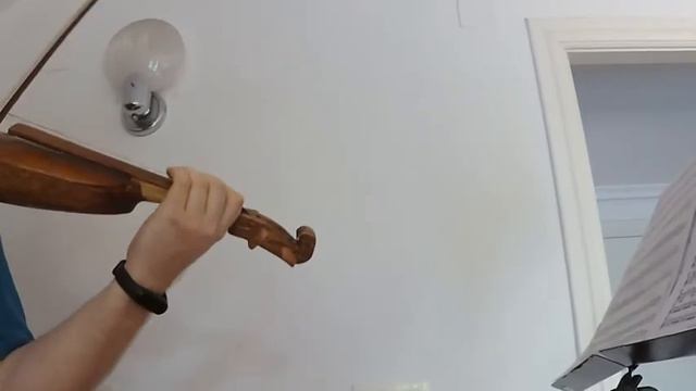 Gudok Violin popular 4/4 Test 686 смотреть онлайн