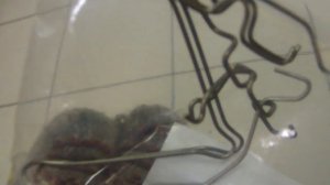 Ремкомплект монтажных пружин колодок тормозных задних MR389630 на Mitsubishi Pajero Sport