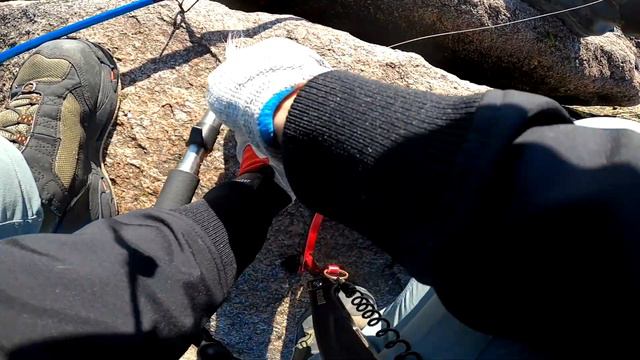 Non Stop Bluefish Action broke my new PB! plus m y first impression on ODM Evolution Surf Rod. смотреть онлайн