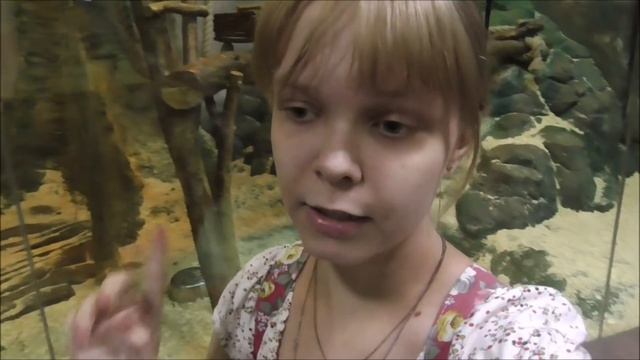 1 Часть ? ? Прогулка по Экзотариуму ? ? смотреть онлайн