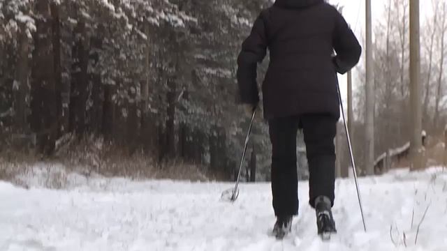 Заканчивается монтаж освещения на лыжне в роще г. Канска смотреть онлайн
