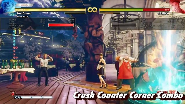 Nash Arcade Edition Combo Video, Tech, Loops, Mix-Up [SFVAE] смотреть онлайн